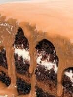 ⁦فادج كيك (Fudge Cake)⁩ - الصورة ⁦3⁩